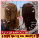 창빈헤어 | 강남구청역 미용실 비오른헤어 청담점 극손상 헤어 이너 트리트먼트 클리닉 후기 선준 디자이너