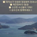 꽃가리비 이미지