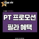 스타핏