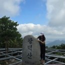 자연알로(광덕) 이미지