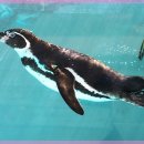 문덕동물병원 이미지