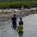 직실농원 이미지