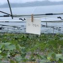 샤인농부협동조합 이미지