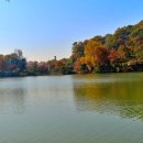 호미골체육공원 이미지