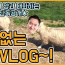 도현목장 이미지