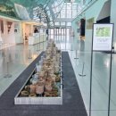 화랑유원지_경기도미술관주변 | 경기도 안산 아기랑 가볼 만한 곳 화랑유원지 경기도 미술관