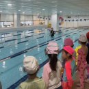 침산ing유치원 이미지