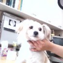 가좌종합동물병원 이미지