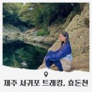 효돈천 | 제주 트래킹 하기 좋은 서귀포 하례리 효돈천