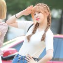로하