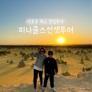 WA(와)호텔 | 퍼스 피나클스 당일 투어 후기 무어리버 란셀린 바베큐 야생캥거루