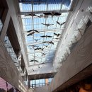 산대주유소 | 김해 화포천습지과학관 외관, 화포천 습지 산책로, 아이 체험존 풍경