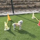 개편한 스쿨 이미지