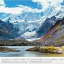 스킨스퀘어드 | 간건강에 좋은 피로회복영양제 시넨시스동충하초와 밀크시슬 뉴스킨[알스퀘어드]후기