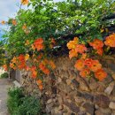 슬로시티삼지내마을 이미지