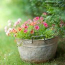 바느질정원 이미지