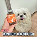 멍뭉펫 | 다이소 강아지 피부 영양제 추천 - 헬로마이펫 멍뭉케어 피부
