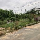 장안면사무소 이미지