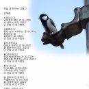 넌나를행복하게해