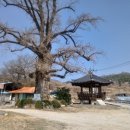 단곡1리 이미지