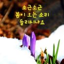 온천탕 - 창원시 마산합포구 반월북2길 21 | 온천탕