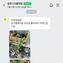 일루스터플라워 이미지