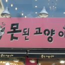 못된고양이