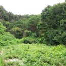 수만농장 이미지