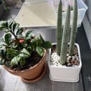 창원농약사 이미지