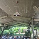 리버퀘스트 | [싱가포르 여행] 리버원더스 완벽 가이드: 판다·매너티·리버퀘스트 예약 및 꿀팁 총정리