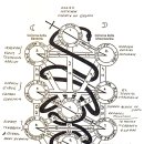 카발라[유대교] 세피로스와 생명나무 이미지