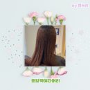 베이비파크 2호점 | 응암역여자머리 구원자! 리안헤어 응암역 2호점 테오 부원장님