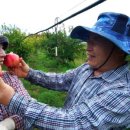 고흥 농장 이미지