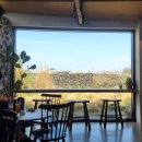 해찬민박 | 살기 스타트 🍊🏝(10일차-월령리선인장군락지/바다해찬/카페유주/이호테우해변/아베베베이커리/모퉁이옷장...