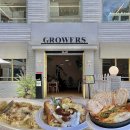 도곡2동주민센터 | 양재천 맛집 Ι 분위기 예쁜 브런치 카페 <그로어스 도곡> 데이트, 모임하기 좋은 도곡동 레스토랑