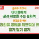 최미정 동화작가 MBC &#39;울산을 틀어라&#39; 출연 이미지