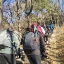 구덕천 | 시약산구덕산(송년산행)