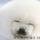 박가위헤어 이미지