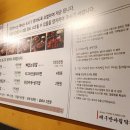 일산서구보건소 | 일산 막창 맛집 대구반야월막창 일산서구점 대구 사람 향수병 해소완