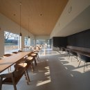 솔리,자운 이미지