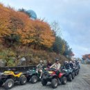 신민수 카카오 검색결과