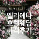 엘리에나호텔 | [엘리에나호텔] 엘리에나호텔웨딩 하객후기