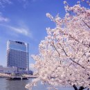 마릴린호텔 | 오사카 커플 여행 로맨틱 숙소 추천 임페리얼 호텔 오사카 특가 후기