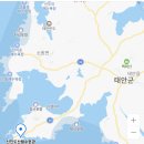 ■ 신진도의 가을, 우리가 함께 한 여정 이미지