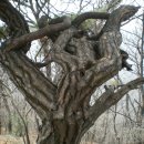 덕수2농장 이미지