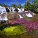 콜롬비아, 까뇨 크리스탈레 강(Caño Cristales River) 이미지