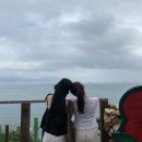 비고리조트 7 이미지