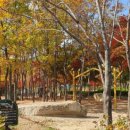 대천천누리길 화장실 이미지