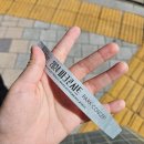 야외공연장 | 2024 성남 분당 중앙 공원 야외 공연장 파크 콘서트 후기 : 옥상달빛, 이무진