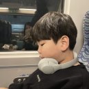 1번가 호텔 | 겨울 여수 뚜벅이 여행x여수 맛집 꽃돌게장1번가 다녀온 후기(feat.오션힐호텔)